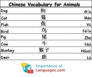 Learn Chinese Language Guide - Chinese Language Basics