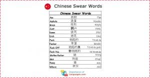 Learn Chinese Language Swear Words and Profanity