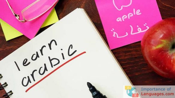 Importance of the Arabic Language Guide [2026]